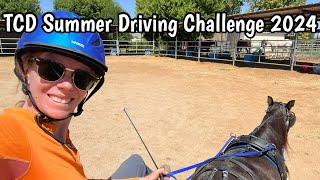 TCD Summer Challenge 2024