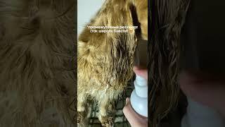 Способ, который всегда выручает  WB:271212401 Маска-уход WB:271212408 Груминг-уход 19в1