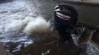 Mercury 4-Stroke 50 Outboard