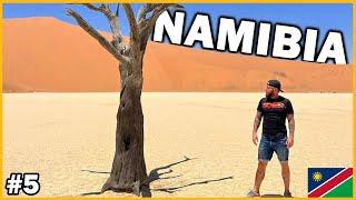 Namibia (deadvlei) - 55 degrees! The most beautiful place I have ever seen in Africa! SHOCKING!