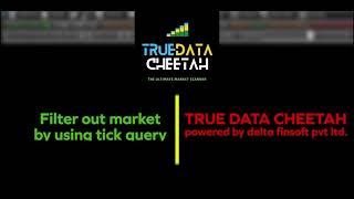 TrueData Cheetah Tick Query