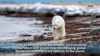 Good News Pilipinas! TV Express: Noel Guevara's Images Appeal for Polar Bears Conservation