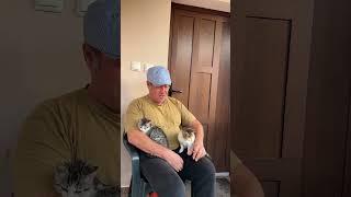 Когда папа проснулся Болгария и  наши котятки.