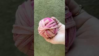 Following @loosendscrochet tshirt yarn tutorial  ignore the dog hair  #tshirtyarn #crocheting