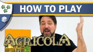 How to Play Agricola