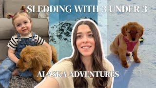 Alaska sledding adventure w/ 3 under 3, getting a family dog