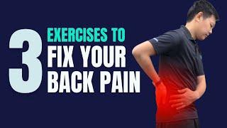 3 Simple Exercises to FIX Your Back Pain | Exercises for Lumbar Lordosis Posture