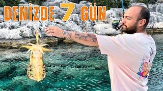 DENİZDE 7 GÜN - KALAMAR, ÇUPRA VE KOKOREÇ