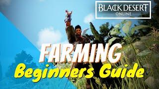 Black Desert Online - Farming Guide For Beginners(2020)