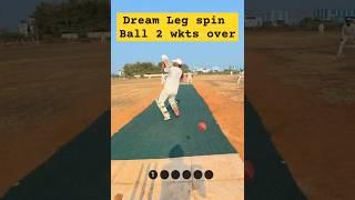 Dream Leg Spin Deliveries | 2 Wickets Over #shorts #gopro #explore #viralvideo #cricket #trending