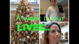 A WEEK IN OUR LIVES | KERRY WHELPDALE