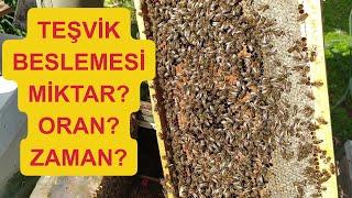 Arılarda teşvik beslemesi; ne zaman, ne kadar, nasıl?   Arıcılık