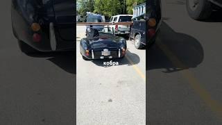 Кто то приехал на кобра #аляска #машина #сша #америка #авто