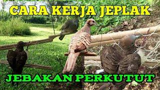 cara kerja jeplak sabet perkutut