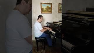 Лесоповал - "Я куплю тебе дом"- piano cover by Tigran Alaverdyan