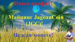 Ищем профит! Майнинг JagoanCoin (JGC)! Обзор, доходность, настройка майнинга! Неделя монете!