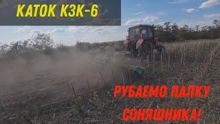 Земля сухарь! Рубаю палку Соняшника катком рубячим КЗК 6!