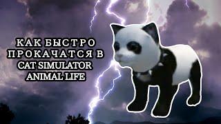 Как быстро ПРОКАЧАТСЯ в CAT SIMULATOR ANIMAL LIFE