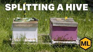 How to Split a Hive