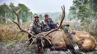 Archery Elk Hunt In The Utah Mountains | Deer Season 24