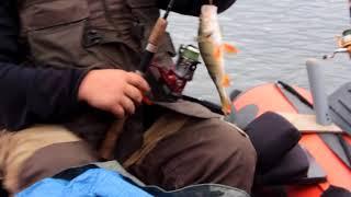 GLAVVRED: Дивный на Красноярском море