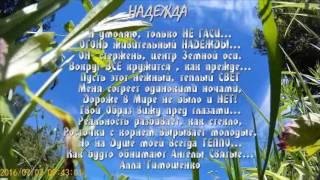 Огонь НАДЕЖДЫ...  Алла Тимошенко