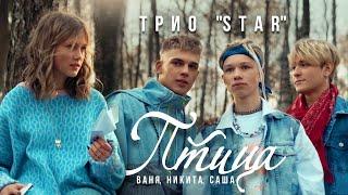 KR band (Трио Star) - "Птица" (cover Andrey Gubin)