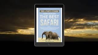 Perfect Wildlife Safari Guide | Porini Camps