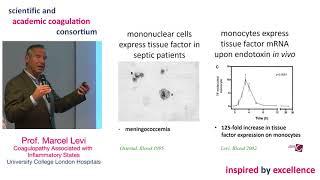 Prof. Marcel Levi at SACC 2018
