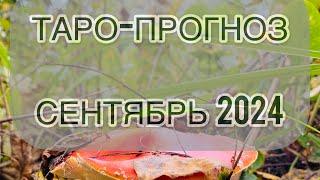 ТАРО-ПРОГНОЗ / СЕНТЯБРЬ 2024 #славяне #таро #tarot