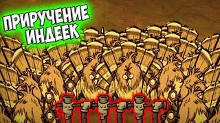 ФЕРМА ИНДЕЕК + ЗАЩИТА КУСТОВ - Don't Starve Together/ DST/ ДСТ ГАЙД