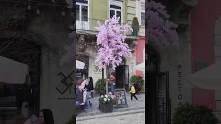  What is there in Lviv? Rynok Square #2328