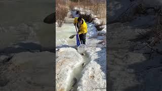 Fishermen Try To Catch Big Fish On Iceland #fish #fishing