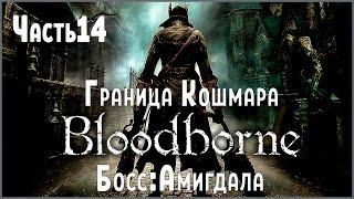 Прохождение Bloodborne №14 Граница кошмара, босс Амигдала