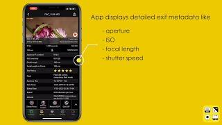 How to view 54+ Photos EXIF Information on  iPhone or iPad