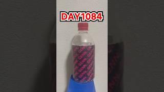Daily Bottle Flip Challenge day 1084 | GENN.