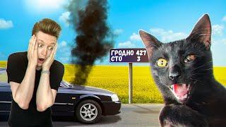 Спасение котенка без глазика. Вот что случилось по дороге домой / SANI vlog