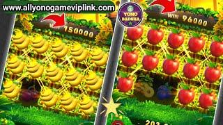 Yono Rummy Game Tricks | Jungle Daylight Yono Game Unlimited Win Tricks | Yono Games |@Yonobadsha