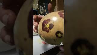 All natural gourd bowls