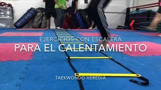 Calentamiento con escaleras para el Taekwondo