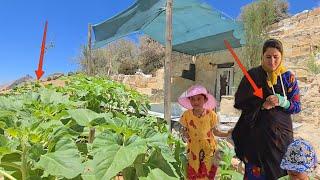 Special journey to the city: Nomadic lady becomes more comfortable