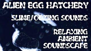 Relaxing Ambient Soundscape - Overrun Alien Egg Hatchery In Space - Slimy/Oozing Sounds - Sci-Fi