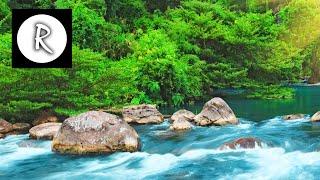 Relaxing Nature Sounds - Water Sound 24 Hours, Gentle River & Stream