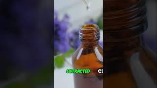 Lavender Farm & Emerald Isle: Your Sanctuary Awaits!