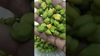 Hara chana chaat recipe#food #subscribe #ayeshas magic kitchen