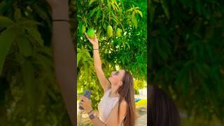 Walk through the garden 🫶#walk #nature #girl #mango #solo #adventure
