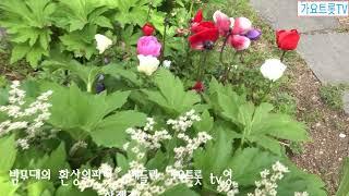 밤무대의환상의파티  메들리 영상제작 가요트롯tv 홍재종  감독 미디어 주노 성남지사
