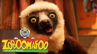  Zoboomafoo  Season 1 Episode 6-10 Full Episode Compilation | Kids TV Shows