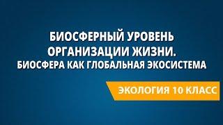 Биосферный уровень организации жизни. Биосфера как глобальная экосистема