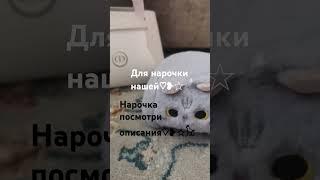 нарочка мы любим тебя